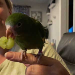 Meet your Posher, Isabella